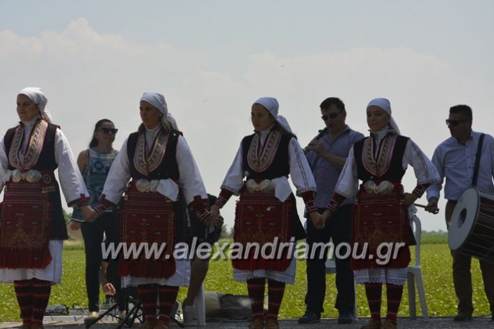 alexandriamou.gr_trikala28.5.2018045